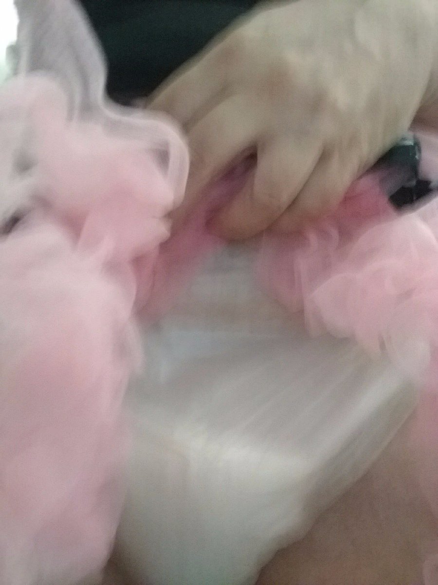 WimpyTheDonkey's tweet photo. Wet diaper, pink sissy skirt ... it must be #HumiliationDay #humiliation https://t.co/IjUloEIa5E