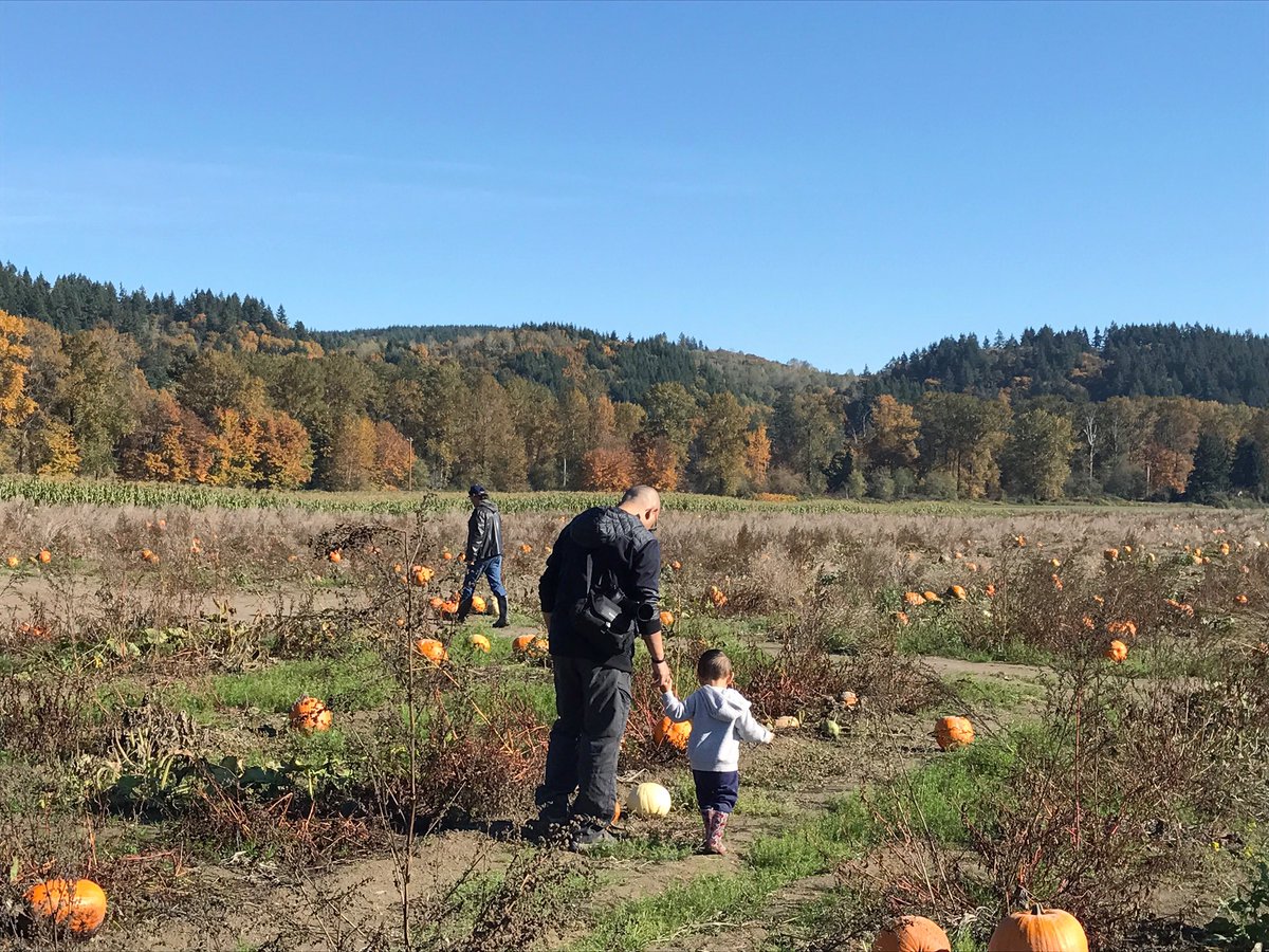 We had such a fun time at the pumpkin patch yesterday! Hope you're having a great Saturday morning and wonderful weekend!