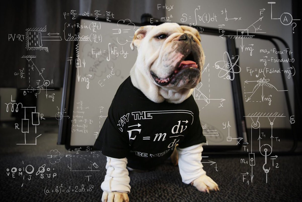 JTB investigates bark matter and electro-wag-netic force as a physicist on the Big Bark Theory #BigBangTheory