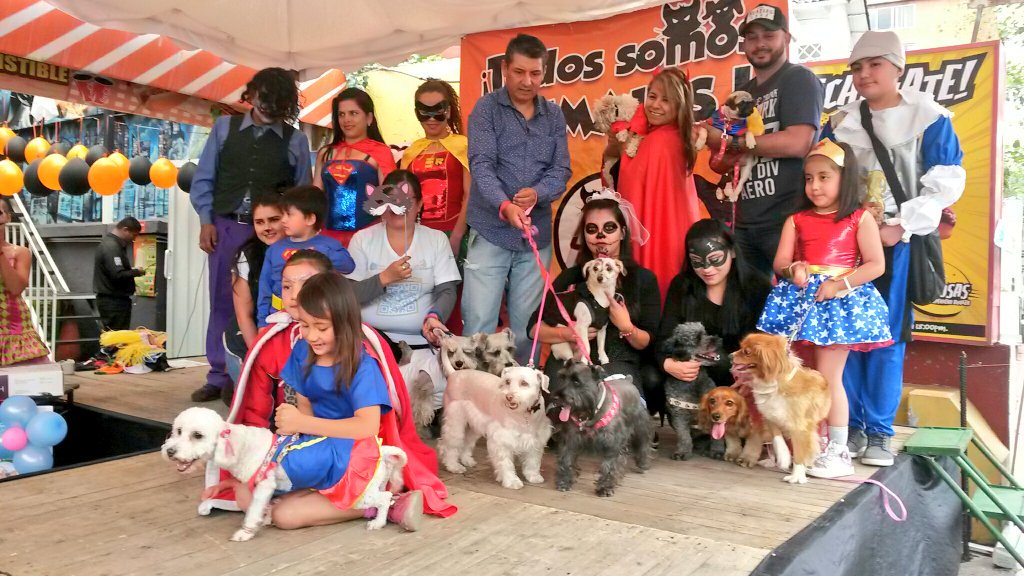 el_telegrafo's tweet photo. #AHORA | En el sector de #LaMariscal (#Quito) se realiza el Perroween, un desfile de mascotas disfrazadas. Vía: @magacastal https://t.co/oZiGnFteI7