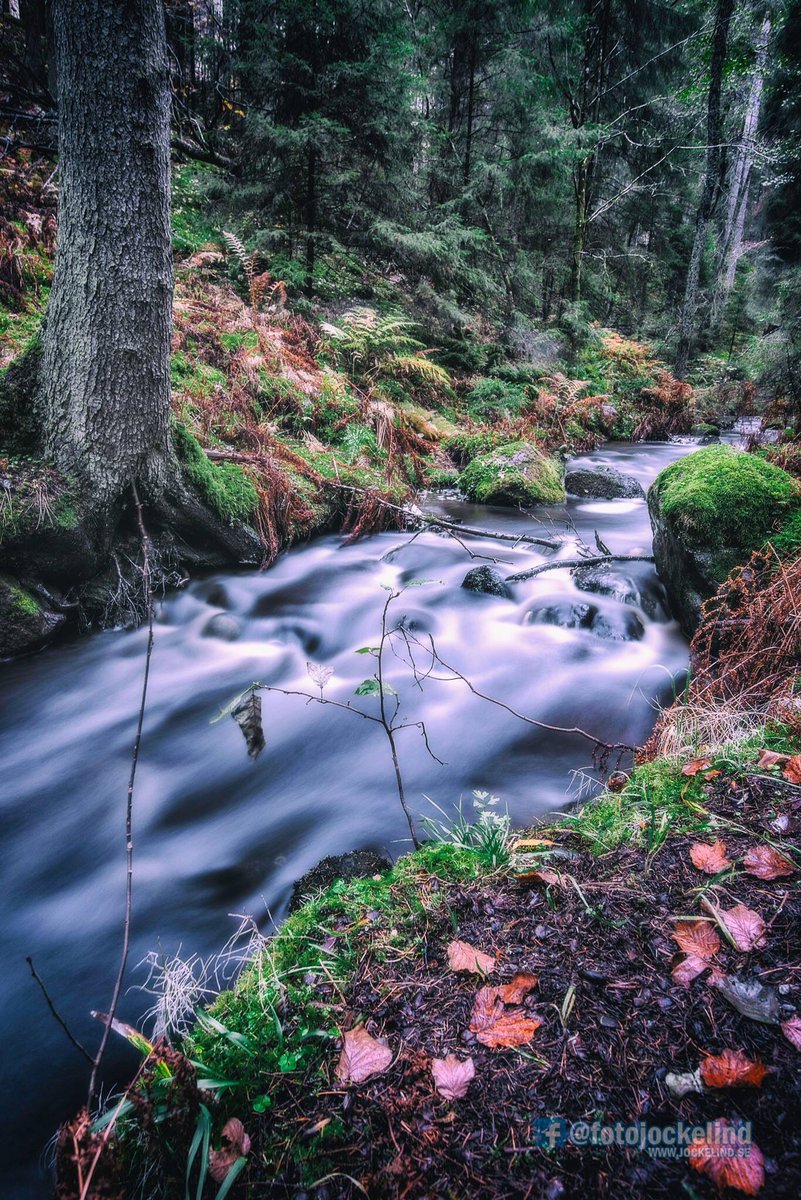 Jockeelind's tweet photo. #getåravinen #nikon #d800 #ndfilter #photooftheday #nd64filter #photography #photographer #nature #natur #naturephoto #naturephotography https://t.co/3Yz0GnwmSS
