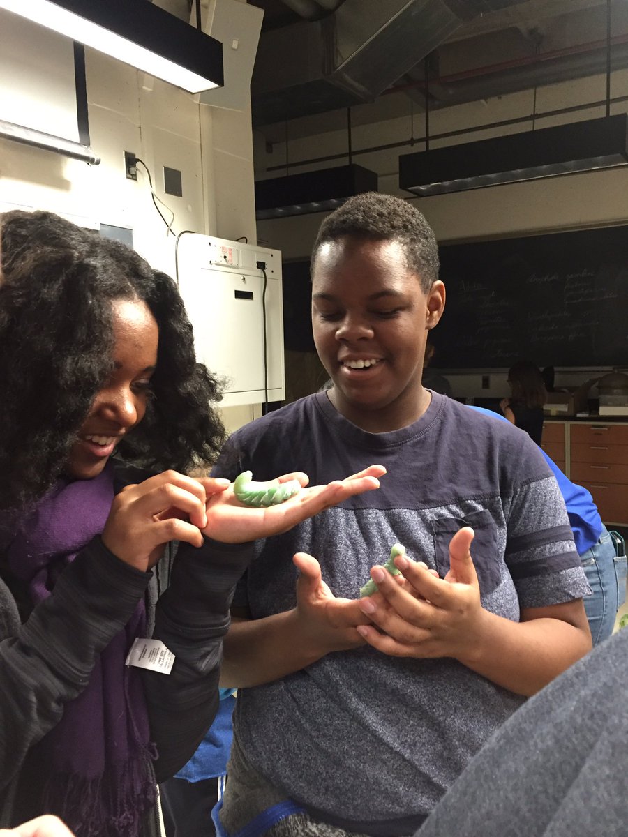 bcsdscienceclub's tweet photo. More pics from the @CornellCALS #Insectapalooza #BPartriotProud https://t.co/KPPhkGPXFY