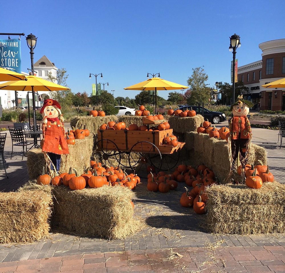 ShopHIllside's tweet photo. Pumpkin Patch Bash is 1- 3pm today. Free Fall FUN for Kids! Come early for best selection of free pumpkins! #HVpumpkinpatch #FreeFallFun https://t.co/FFSrgl9qCG