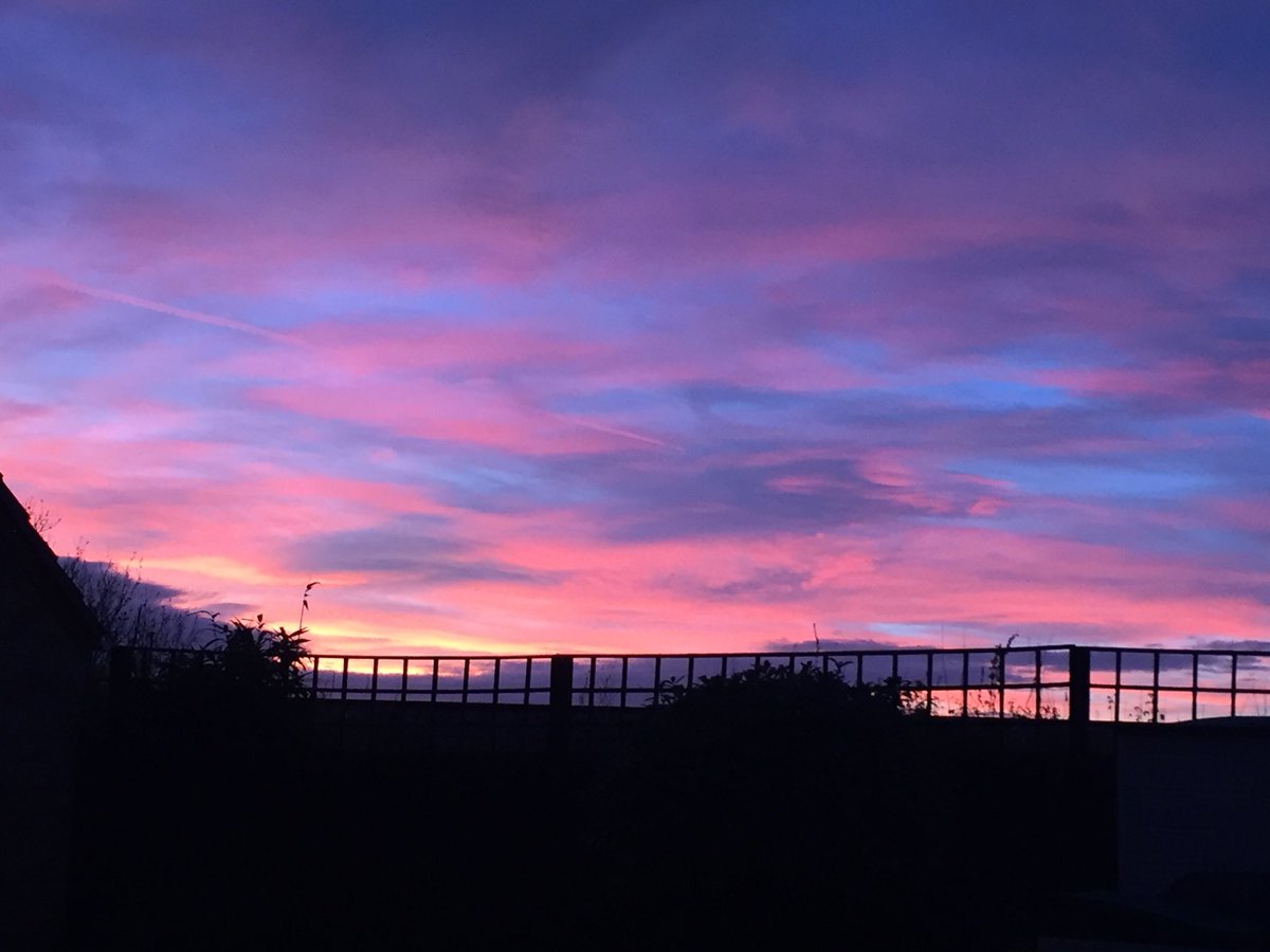 SILK team tweet media