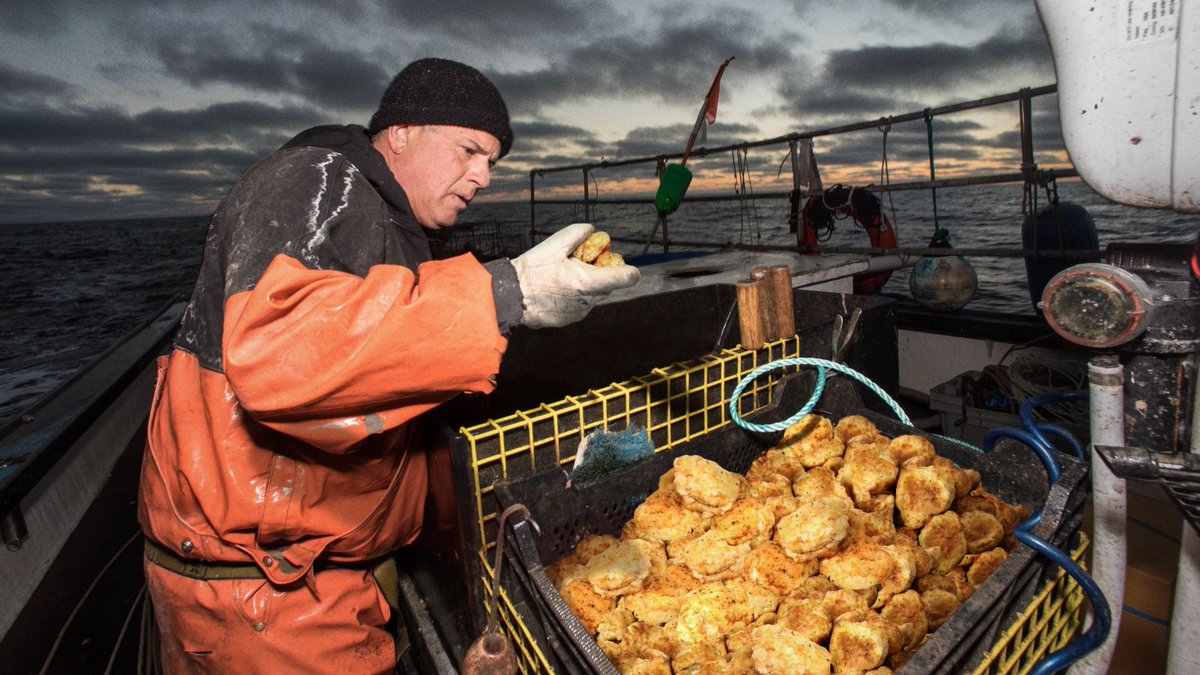 Red Lobster Criticized For Decimating Biscuit Populations Along Cheddar Bay trib.al/w04qHER