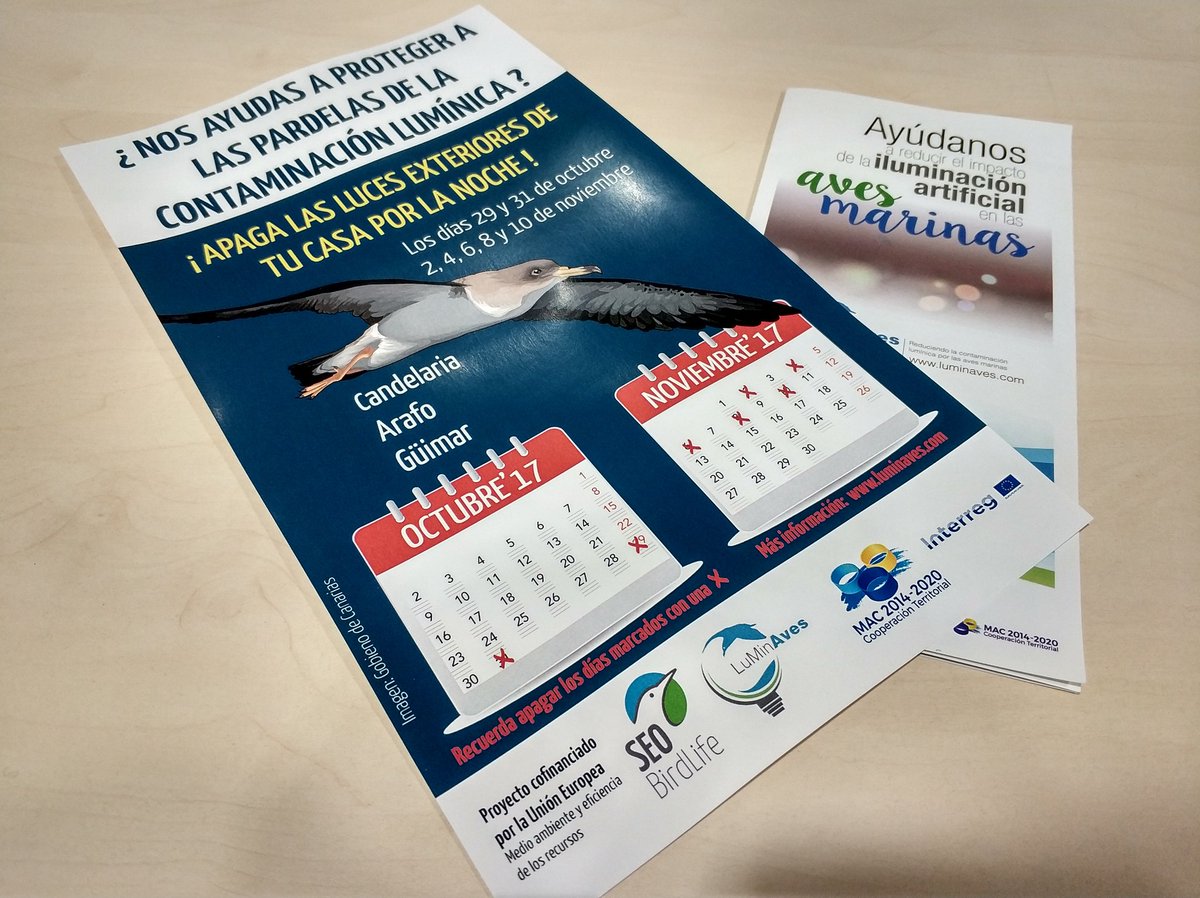 MedioNaturalTF's tweet photo. Participa en el proyecto #LuMinAves de @SEO_BirdLife apagando las💡exteriores de tu 🏡 los días 29 y 31 de octubre, 2,4,6,8 y 10 de noviembre https://t.co/XtJJ93ONi2
