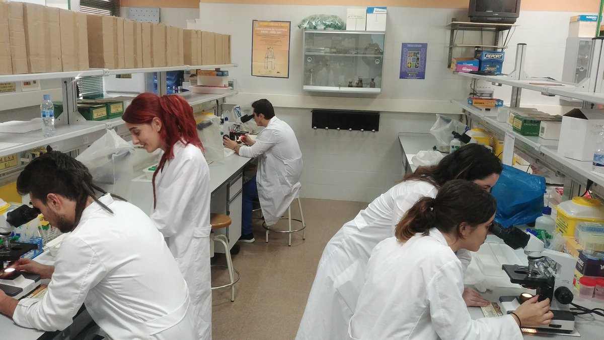 CellBiology_UA's tweet photo. Finalizamos otra edición de #stemcellsUA con una entretenida sesión práctica de cultivo celular y embriología
Gracias a tod@s #cellbiologyUA https://t.co/XLyDlKN2sa