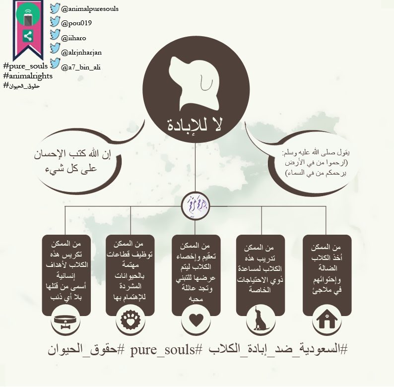 Lyn0sh's tweet photo. التسميم ليس حلاً🚨 ارجو الاستفادة من هذه المبالغ وجهود الباحثين عن الحيوانات الضالة في الحلول الصحيحة #اوقفوا_تسميمهم #البلديات_الضالة https://t.co/WGKIc19qRe