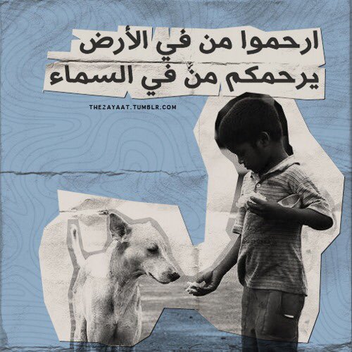 Lyn0sh's tweet photo. التسميم ليس حلاً🚨 ارجو الاستفادة من هذه المبالغ وجهود الباحثين عن الحيوانات الضالة في الحلول الصحيحة #اوقفوا_تسميمهم #البلديات_الضالة https://t.co/WGKIc19qRe