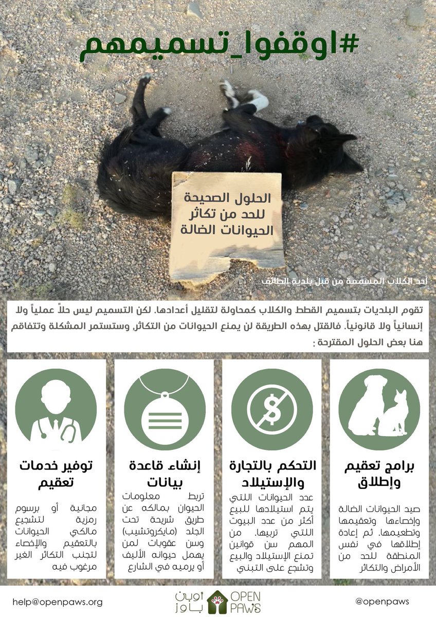 Lyn0sh's tweet photo. التسميم ليس حلاً🚨 ارجو الاستفادة من هذه المبالغ وجهود الباحثين عن الحيوانات الضالة في الحلول الصحيحة #اوقفوا_تسميمهم #البلديات_الضالة https://t.co/WGKIc19qRe