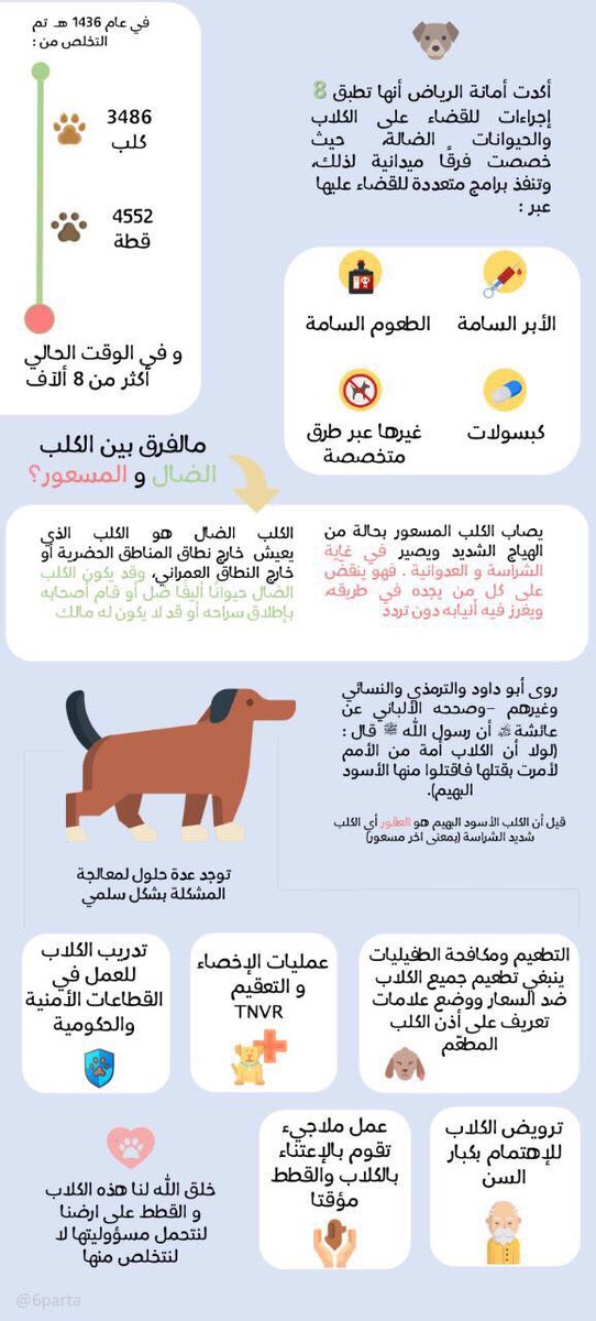 Lyn0sh's tweet photo. التسميم ليس حلاً🚨 ارجو الاستفادة من هذه المبالغ وجهود الباحثين عن الحيوانات الضالة في الحلول الصحيحة #اوقفوا_تسميمهم #البلديات_الضالة https://t.co/WGKIc19qRe