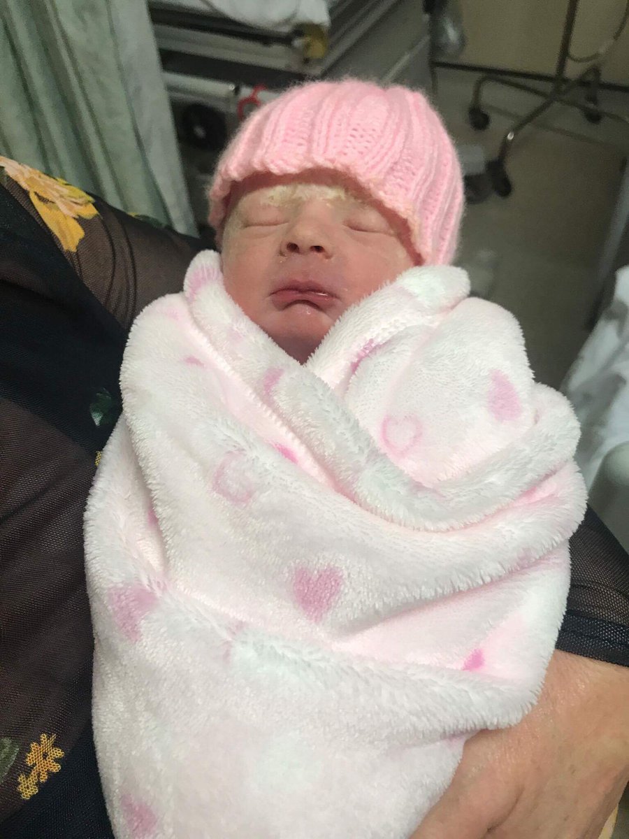 holwilliams_'s tweet photo. every time I look at a picture of my baby I just smile, my little Harlow 🌎💗 https://t.co/fzxGvGg3X4