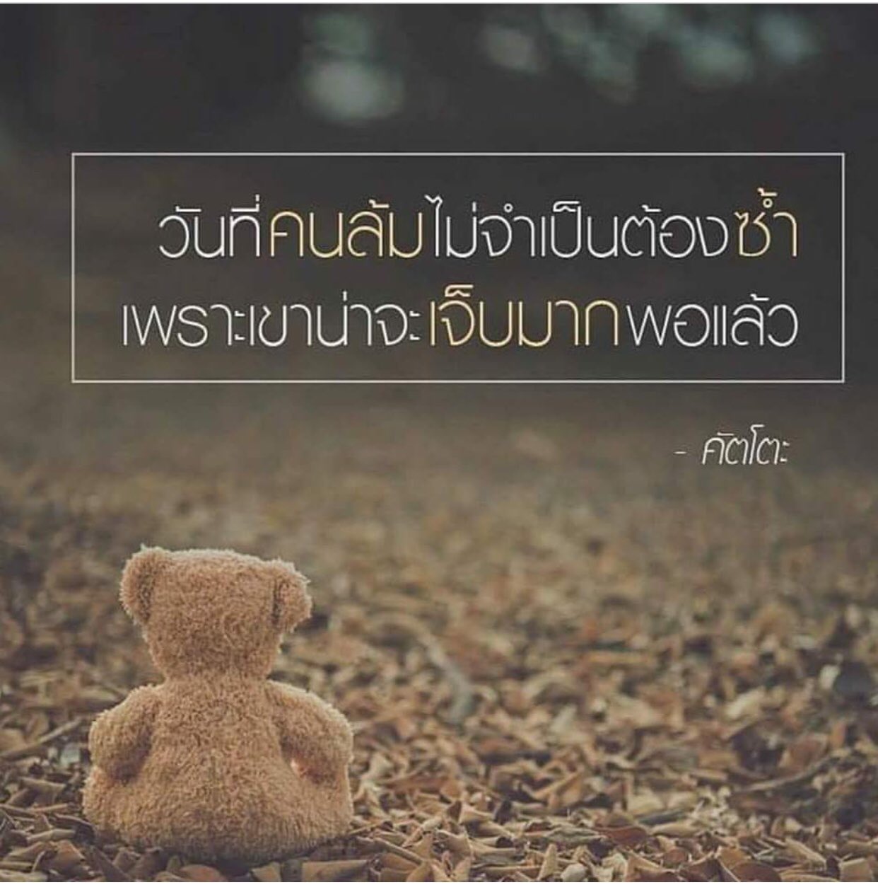 ทางของฉัน#ฝันของเธอ On X: 