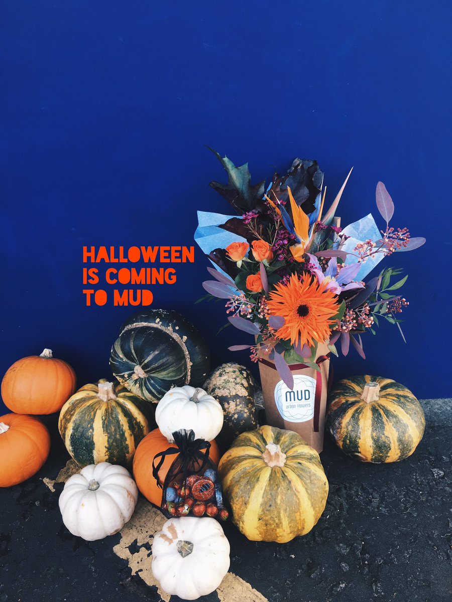chloemilli's tweet photo. If you dare.. 🕷🕸🎃 (order our Halloween bouquet at https://t.co/zoCv5EgvAn) #comingtogetyou #glasgowflorist https://t.co/Zq5afCQxsV