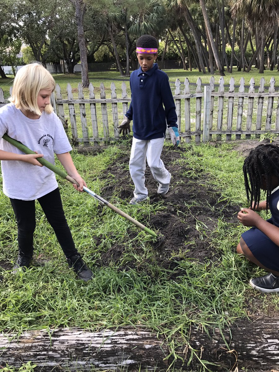 AllamandaES's tweet photo. #GardeningClub #tills #soil, #plants #collardgreens, #marigolds, #radishes! #Keepinitgreen! #nutritiontaughthere! #MakeItCountPBC 🌼🌱🥗🚀🐝 https://t.co/xbScRgAQmx