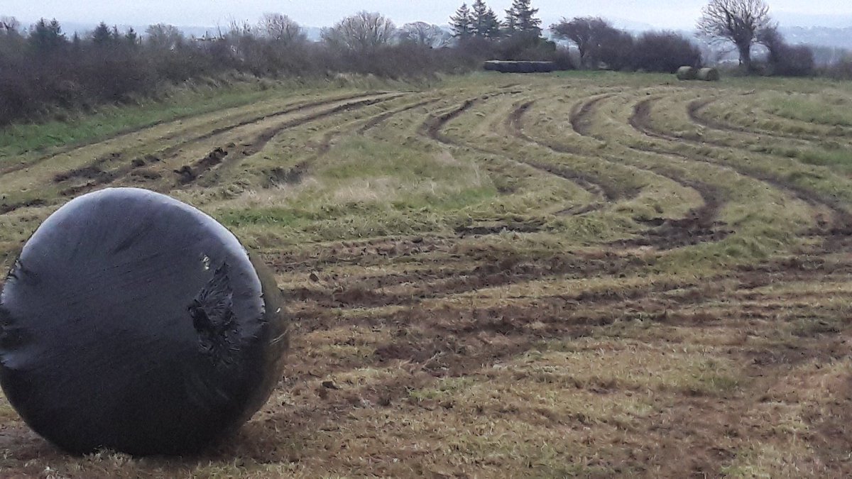 farmersjournal's tweet photo. This field was meant to be silage in August, but today the family are baling. Suckler and dairy farm in north Sligo, pics - @anniewestdotcom https://t.co/oU8jtmBmEn