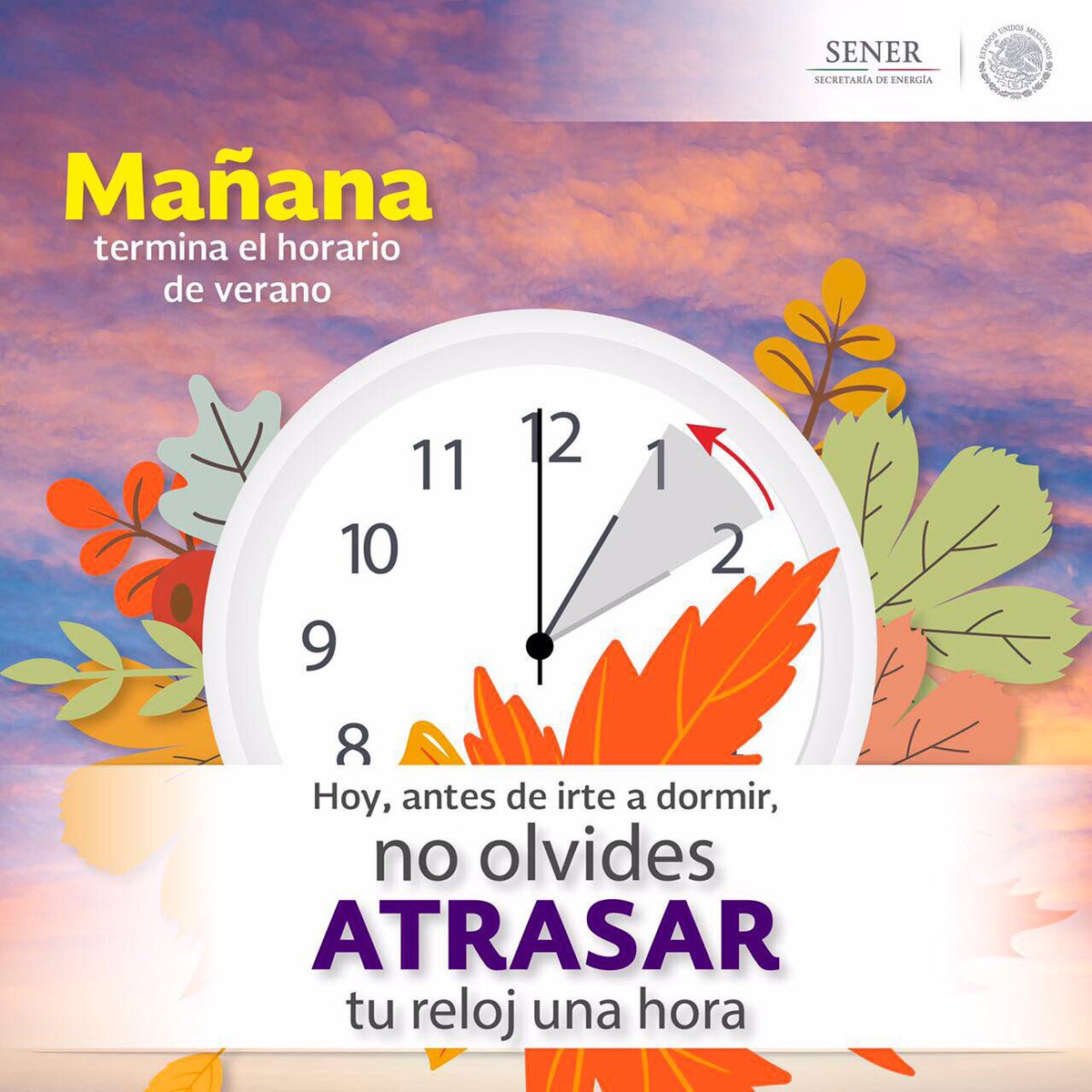 SENER_mx's tweet photo. Mañana domingo termina el #HorarioDeVerano 2017. 
Esta noche, antes de irse a dormir, atrasen sus relojes una hora. ⏰ https://t.co/2djU5udAJf