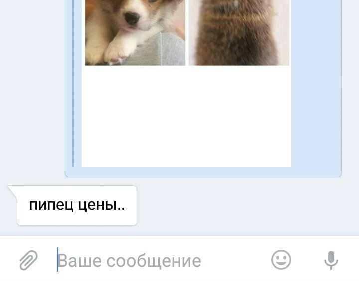Лучшие успокоение и поддержка