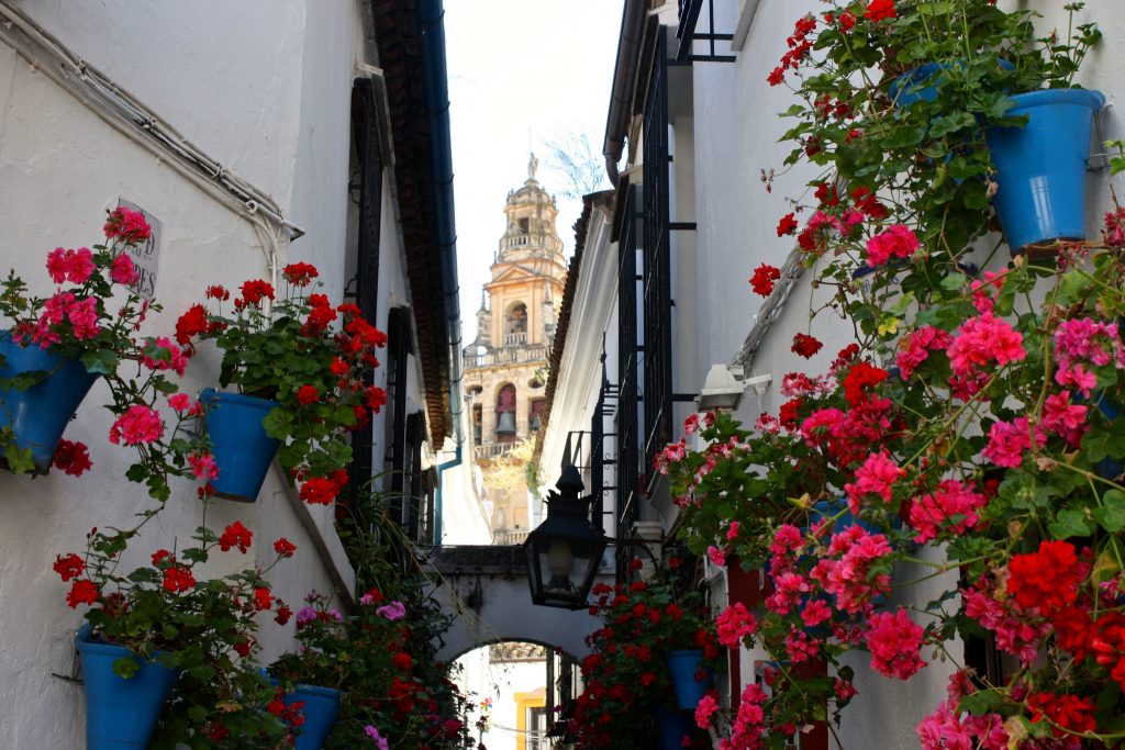 _lavozdecordoba's tweet photo. El espectáculo de Flora y un hotel de cinco estrellas https://t.co/9Y6t1eEHo9 #Cordoba #CordobaEsp #Flora2017 #Hotel https://t.co/CdL6XLLWt5
