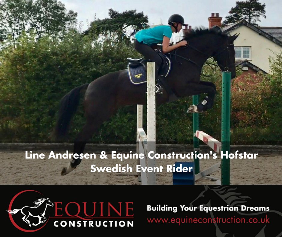 Equine Construction tweet media