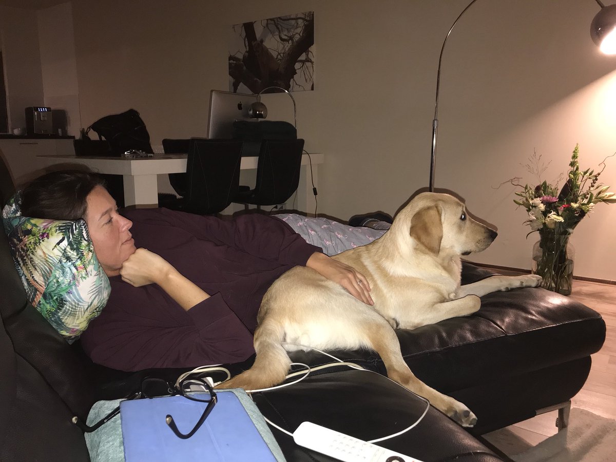 LabradorYuki's tweet photo. Samen met het vrouwtje naar #RJCFey kijken. https://t.co/7h16JAQuk1