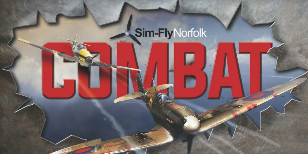 SimFly Combat tweet media