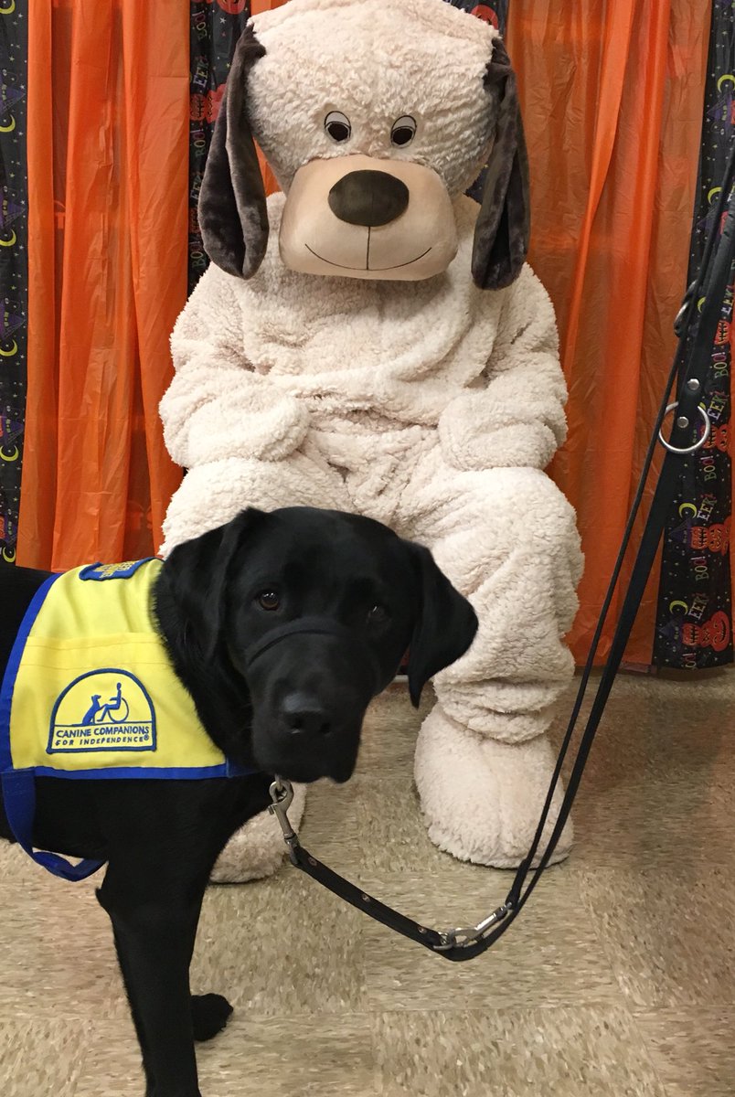 CCI puppy in training Kearney meets Chance!