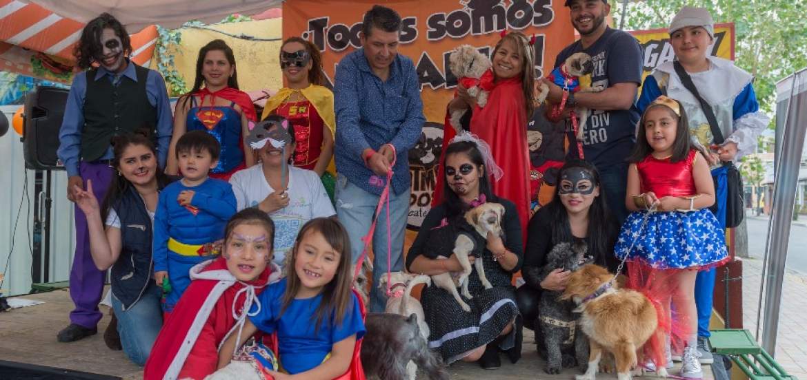 el_telegrafo's tweet photo. #Quito | El #Perroween convierte a las mascotas en modelos de pasarela ►https://t.co/9OOZah95vQ https://t.co/J8t0yxlTIn