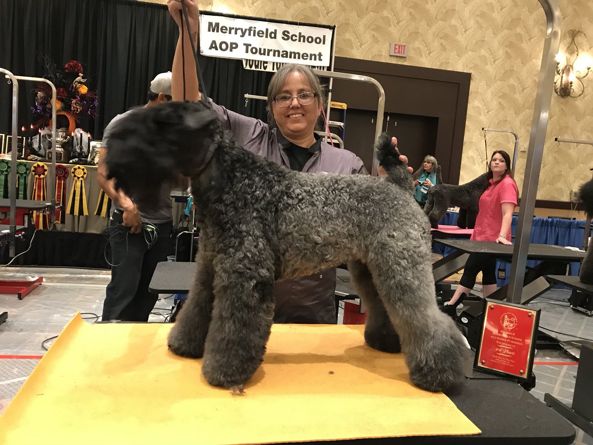 Congratulations Shelia &amp; Bliss! 3rd Place!🎉 #teampetsmart #funinthesun