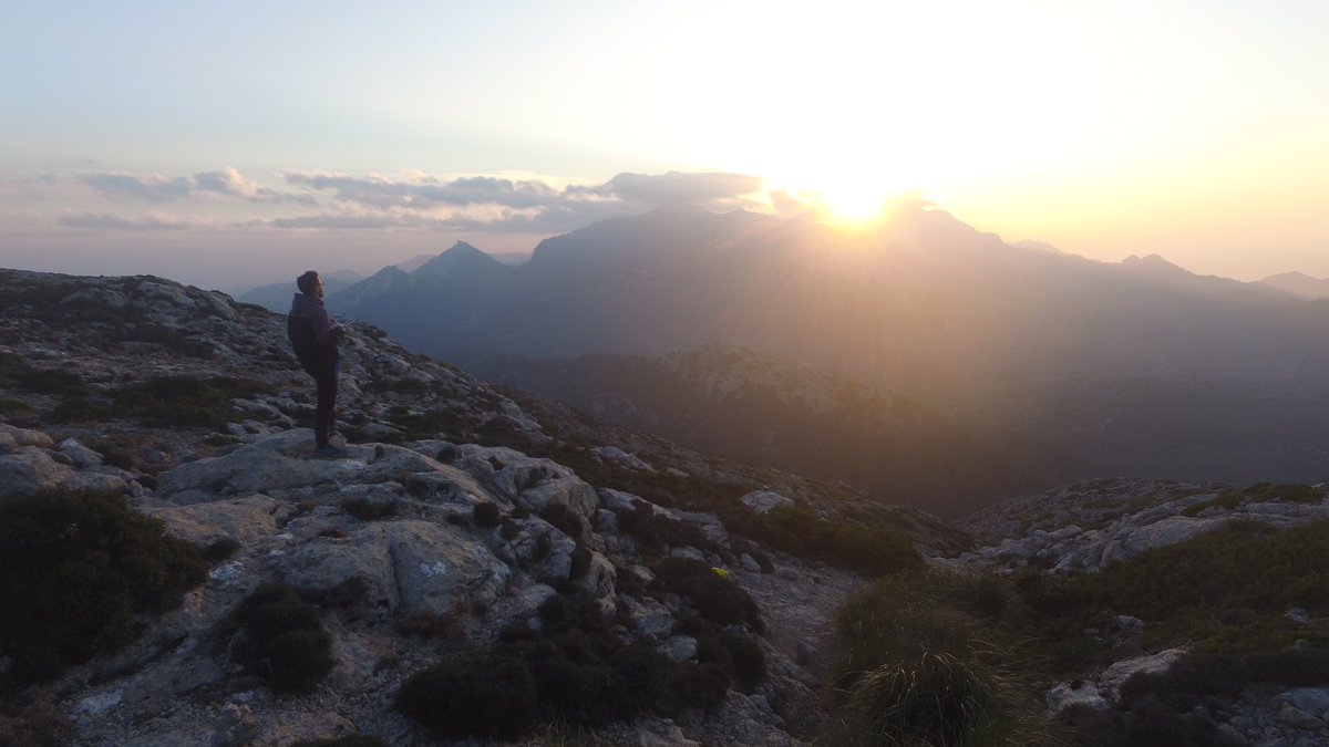 Carlos Sanchez tweet media