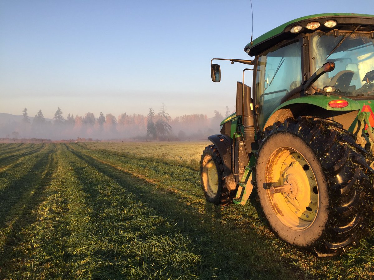 silvermaplehol's tweet image. 17’ today. Perfect weather for final cut.