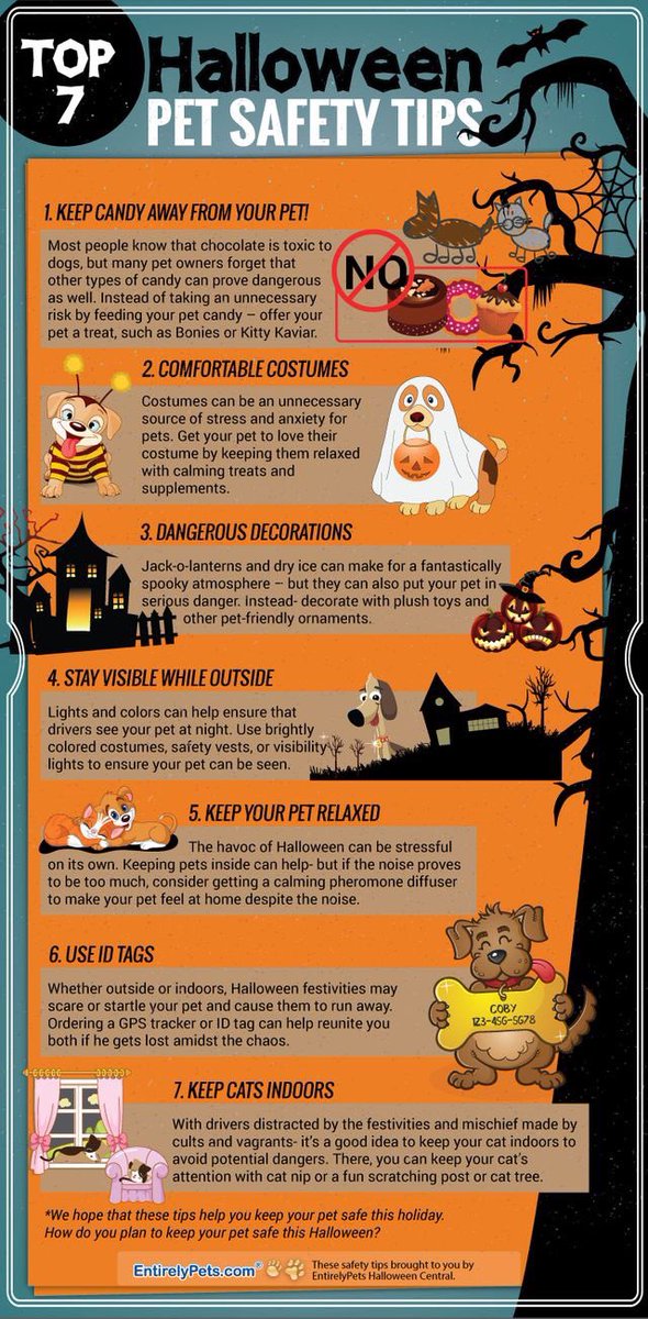 FoxCompCare's tweet photo. It's that time again! #safetytips #pets #pethealth #HalloweenWeekend #mobilevet #weho https://t.co/rMvzoXk6FT