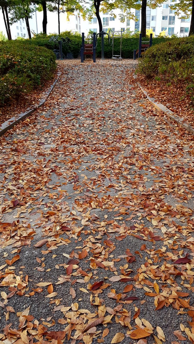 RecoverNature tweet picture