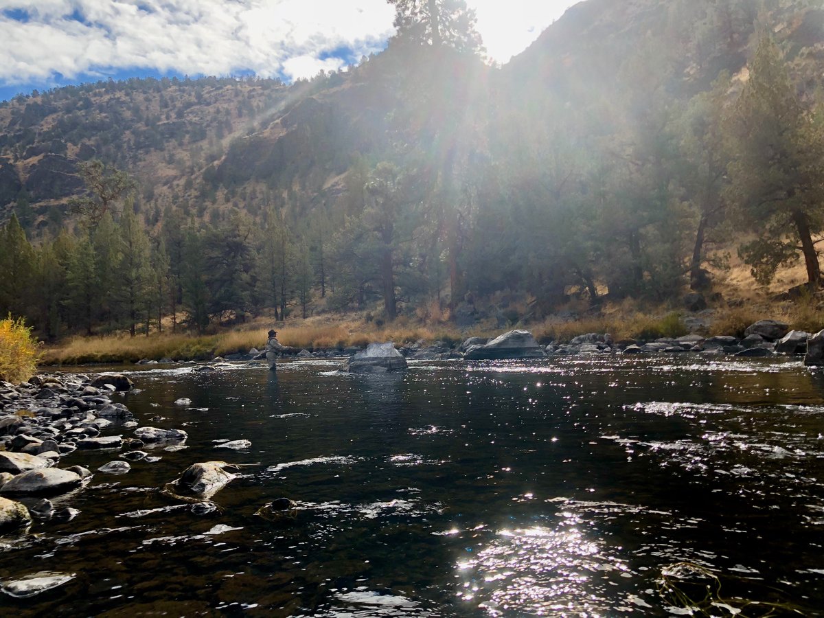 Deep Canyon tweet media