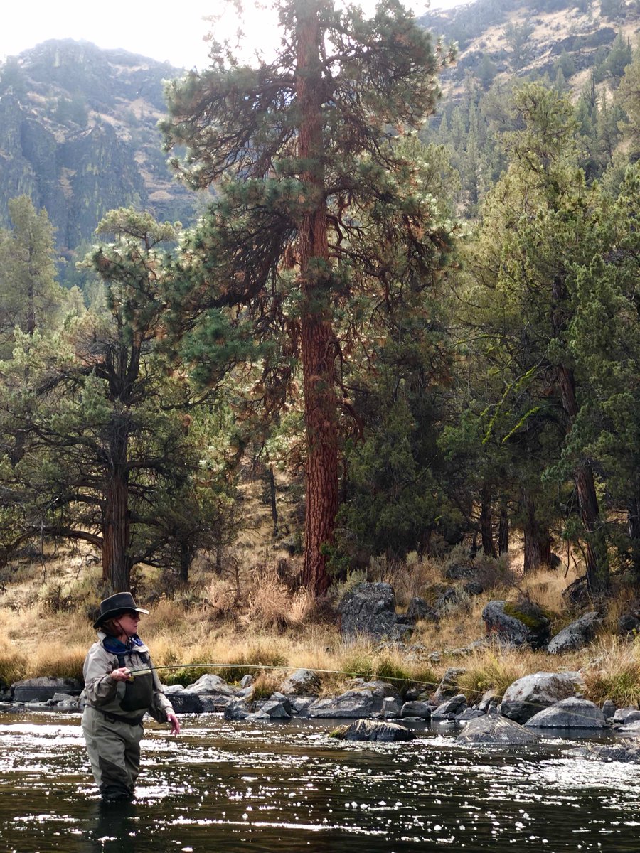 Deep Canyon tweet media