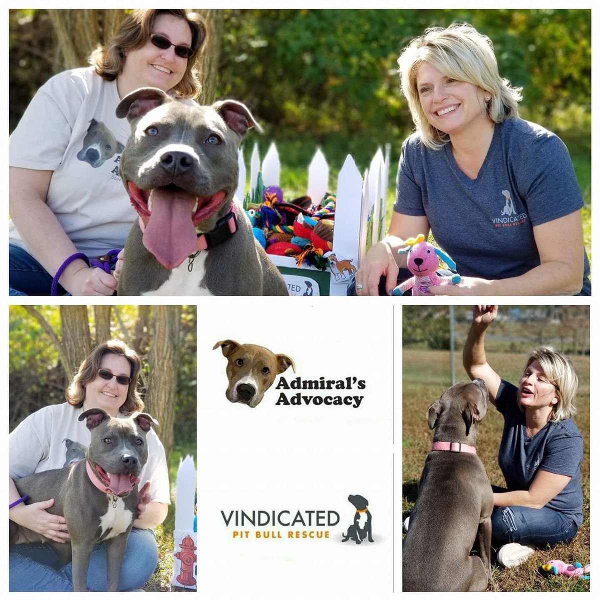 GoodDogAdmiral's tweet photo. Great things happen when groups work together to benefit shelter animals! #PitbullAwarenessDay https://t.co/e8sAglWgNW