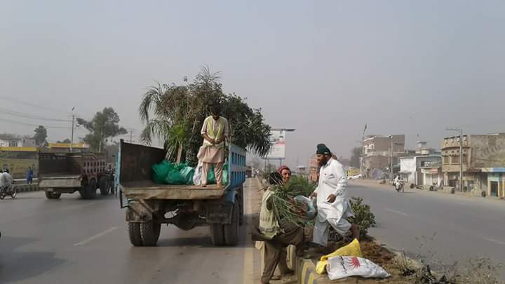 infokpgovt's tweet photo. بلین ٹری سونامی کی اہمیت کو برقرار رکھتے ہوۓ بی آر ٹی کی تعمیر کے دوران درختوں کو کاٹنے کی بجائے باحفاظت دوسرے مقامات پر منتقل کیا جا رہا ہے https://t.co/HIfIndHoGk