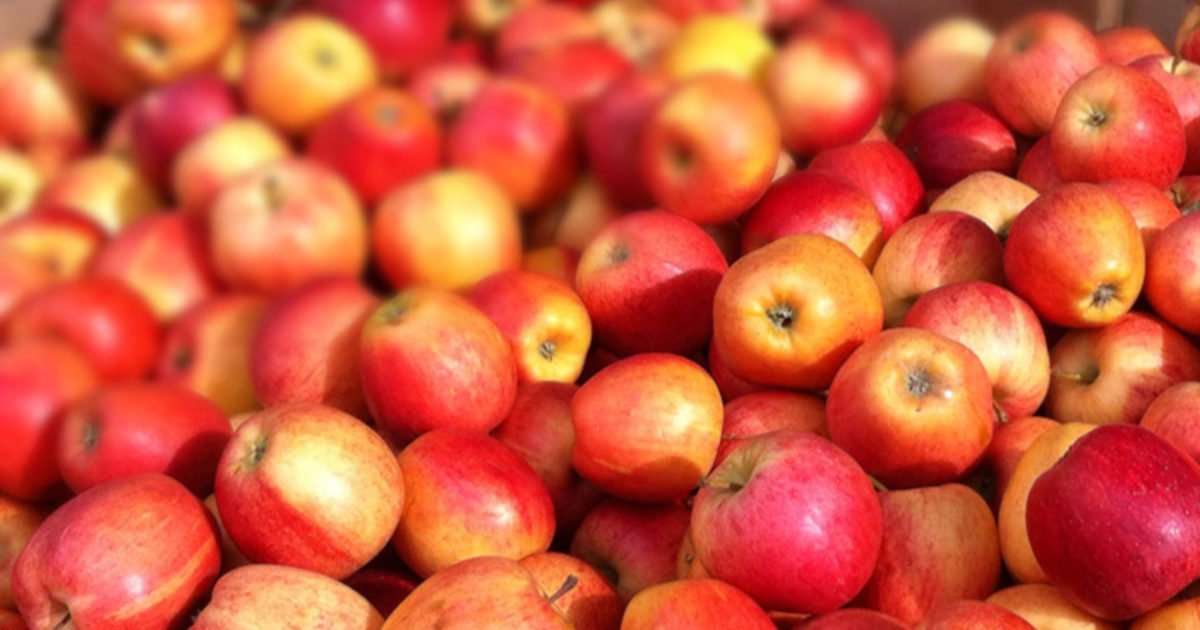 LeadToday's tweet photo. Apples are more effecient than caffeine for waking you up in the morning. https://t.co/eVQfuaayrn