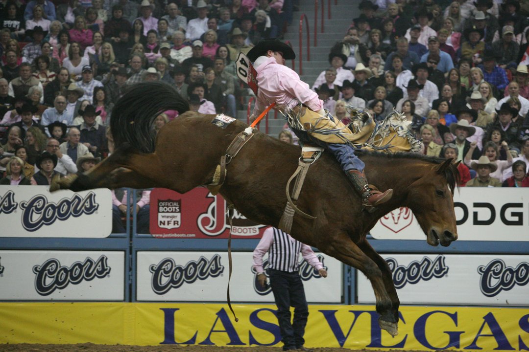 LasVegasNFR's tweet photo. 40 Days... #NFRcountdown #SaturdayAfternoon #VegasStrong https://t.co/womFTFAXcS