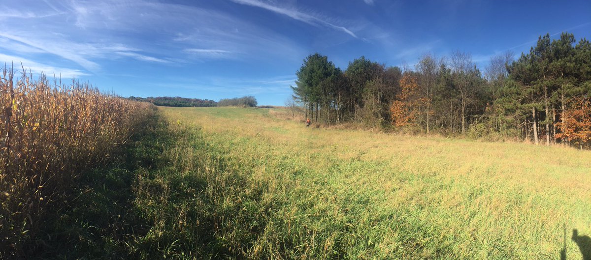 hookslinesandsinkers tweet media