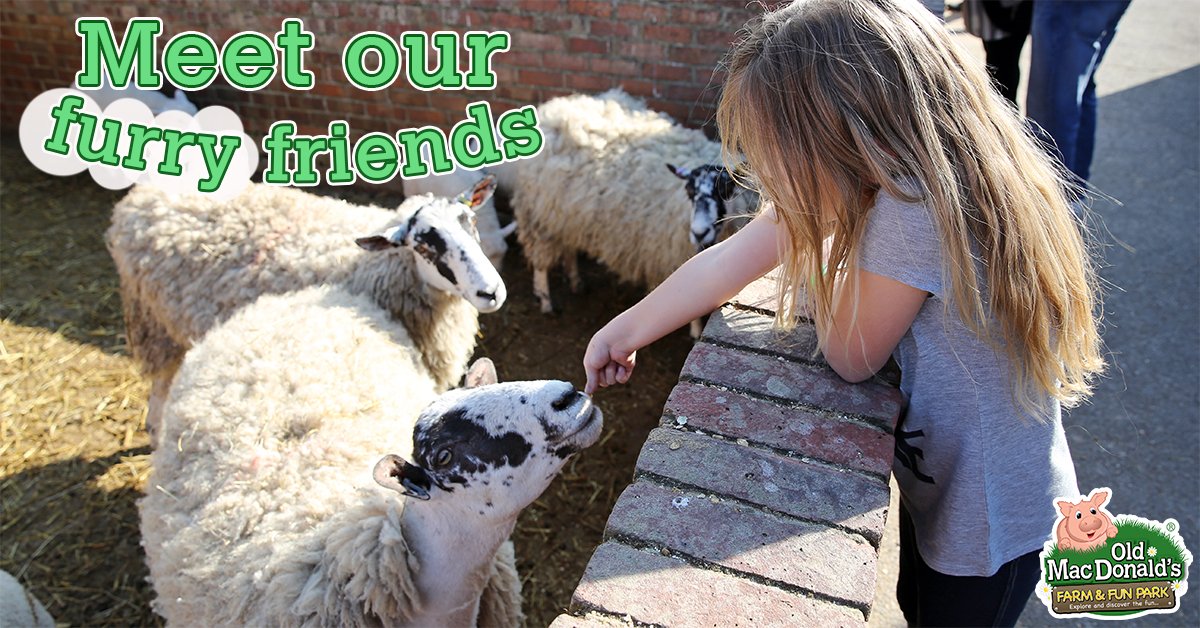 OMDfarm's tweet photo. Come and meet our furry friends @OMDfarm! Bring your little ones for a day filled with adventures https://t.co/cU165PtEDb https://t.co/6kDlh1f7Tc