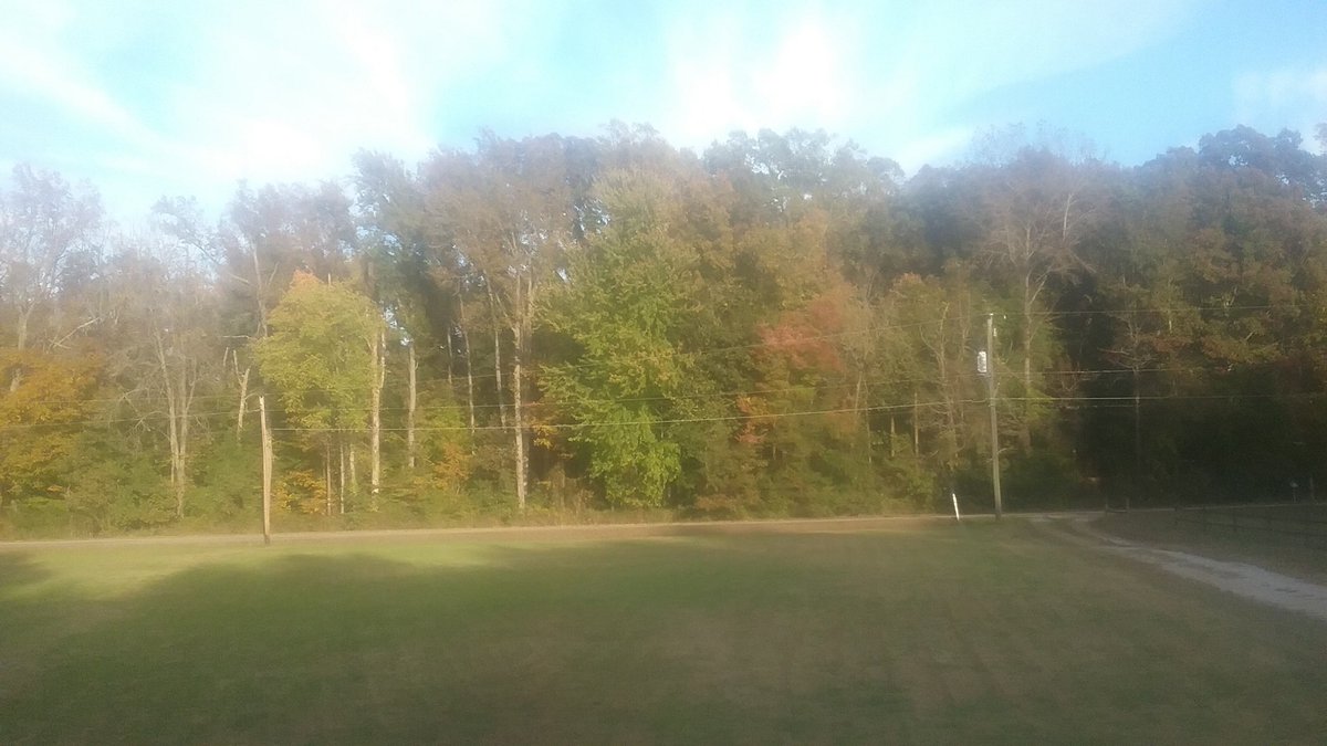 ShawnNTO's tweet photo. @SkullsNCookies  i know you like outdoor scenery. Here is my woods across the street https://t.co/HyYjhx6Ubk