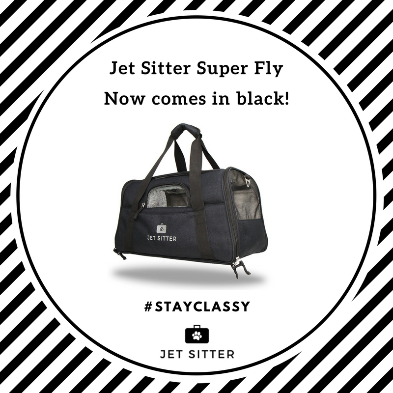 jetsitterpet's tweet photo. Just when you thought you pet couldn't get more stylish. Introducing our newest color #jetsitter #flyclassy https://t.co/k4WdYBzUpG https://t.co/TXNr4HP3a0