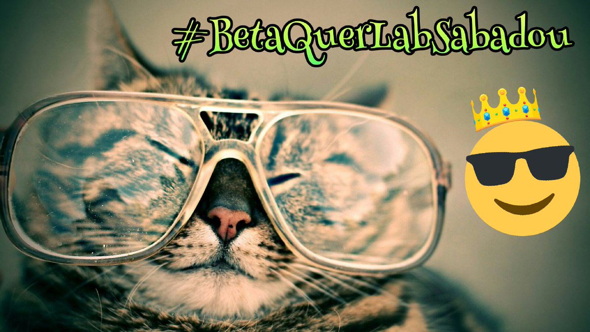 Boa noite Betas a 👑 ficou perfeita em nossas cabeças! Adoro! Nascemos para a realeza. 
#BetaQuerLab 
#BetaQuerLabSabadou