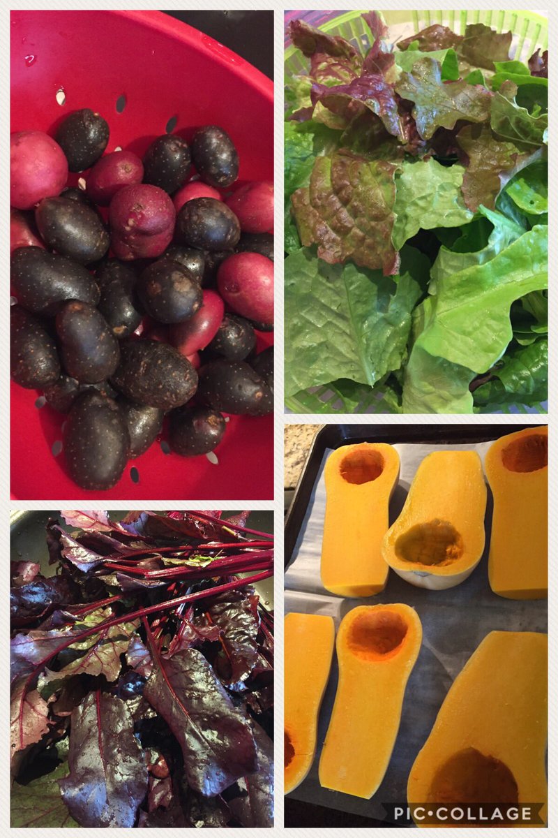 From my Ontario garden at the end of October. Pretty sure climate change is real.