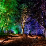 Photo by Colours of Cluny (@ColoursofCluny)