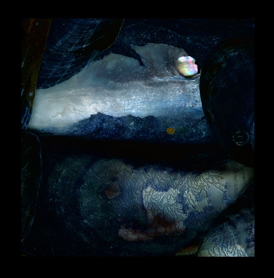 huxleyparlour's tweet photo. Paul Kenny uses digital scanners to produce the images in his series 'Seaworks': https://t.co/GqFBAw9wLy https://t.co/dcc5WPGyJn