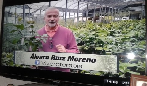 VALERIAPEREYRA3's tweet photo. @alvaroruizmore1 Hola Alvaro kmo estas?Hoy en algo en comun me entere que estas medio pachucho..ánimo q tus fuerzas💪💪💪 no quieren tenerte en cama😉 recuperat https://t.co/oTAYkViJ1W