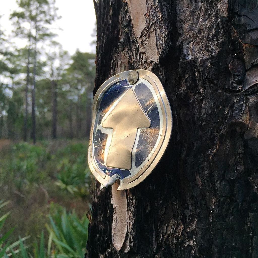BarefootAntMan's tweet photo. #hiking in #starkey park. This #trail marker has been there for years making sure I don’t get #lost . #trailmarker #hashtag #stopreadingmyt… https://t.co/ky9fB6DbRo