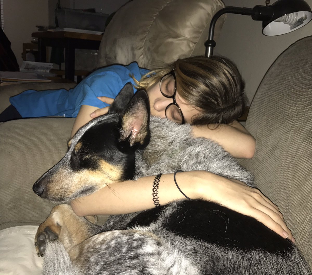 BJNemeth's tweet photo. Too dark to take a decent photo without a flash, so I had one shot to get this photo without waking @BriscoMutt or my niece ...

PERFECT! 📸😀 https://t.co/7p1bkQOf6q